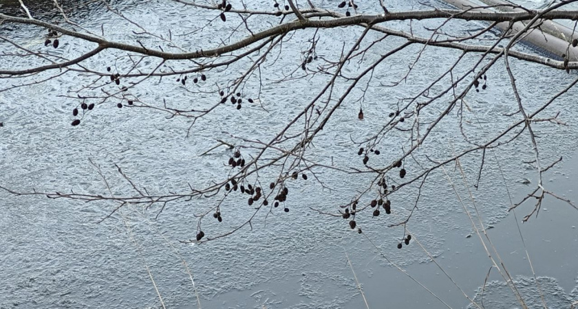    Первый городской канал Калининград