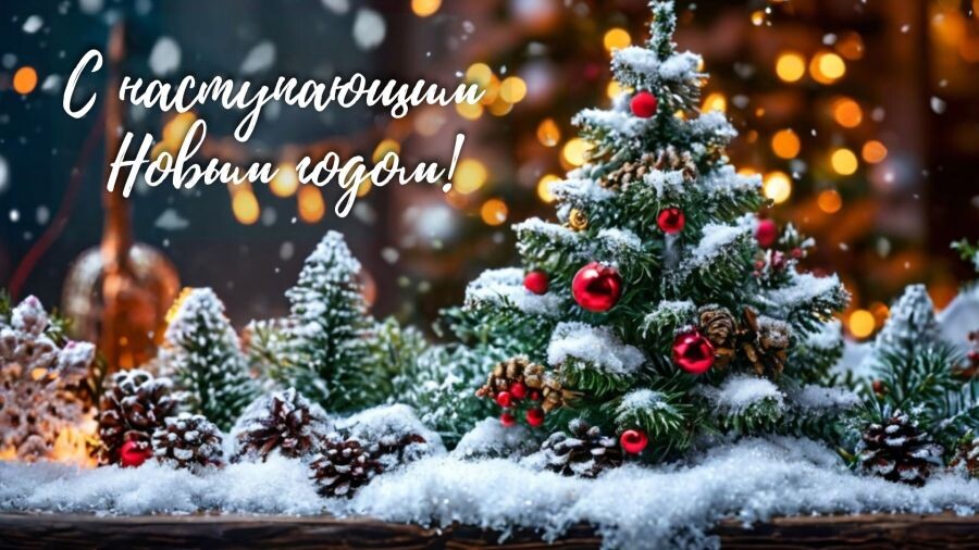 яндекс картинки