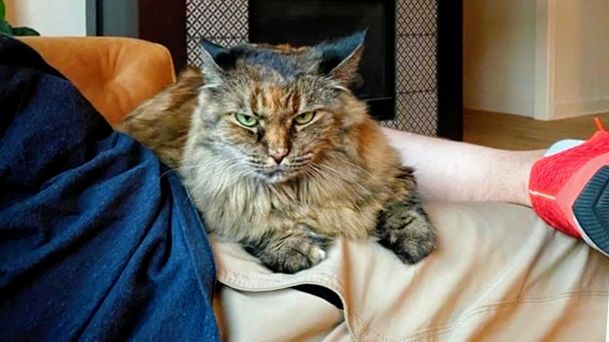 Исключительно положительно влияют!