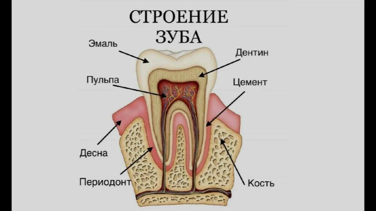 Из открытых источников сети интернет