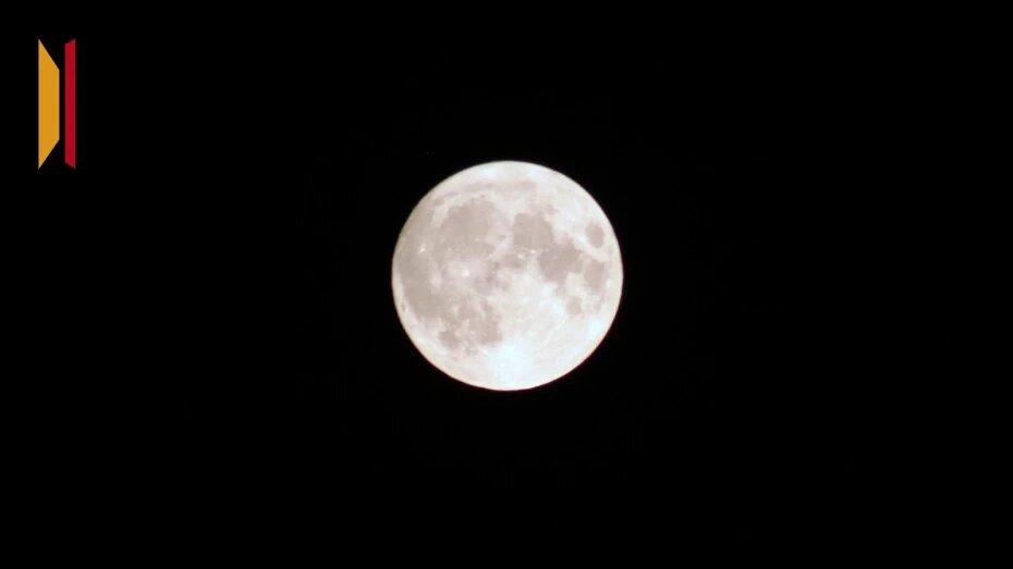    Автор фото: Евгения Емельянова (из архива)