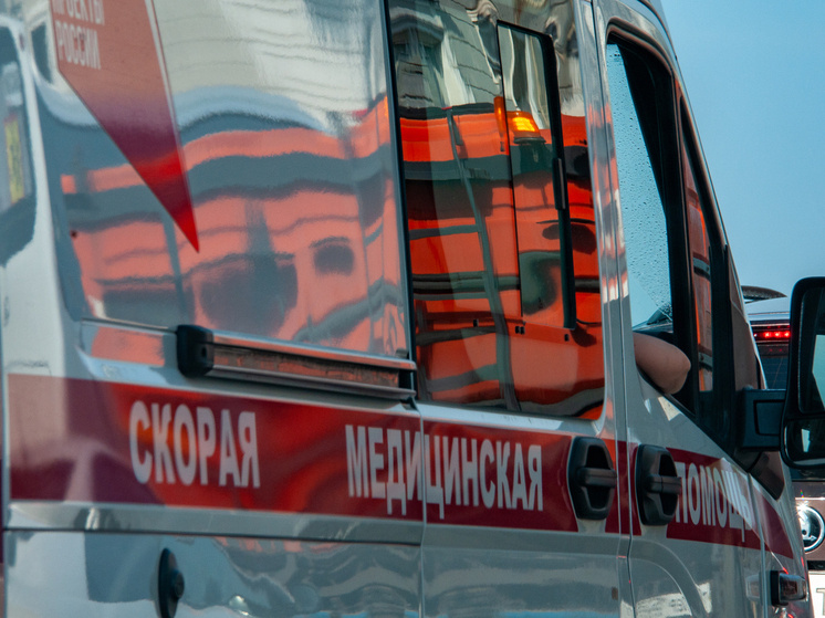     Фото: Svetlana Vozmilova/Global Look Press