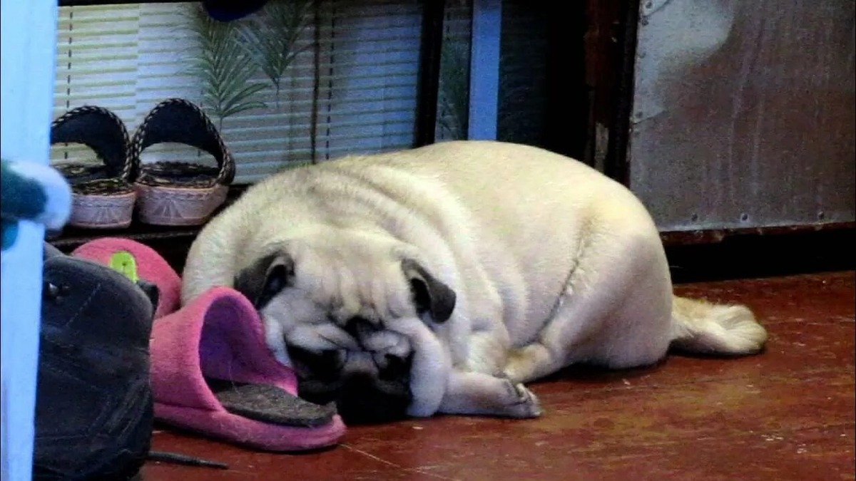 Фотография из интернета