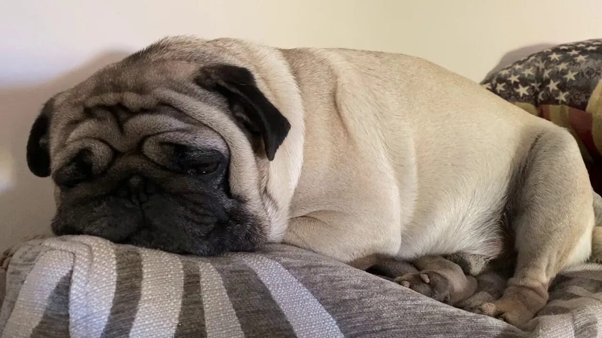 Фотография из интернета