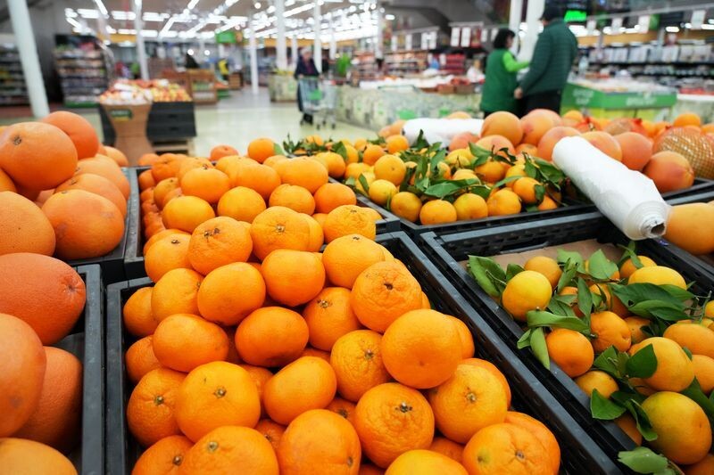     / Источник: © ИЗВЕСТИЯ/Дмитрий Коротаев