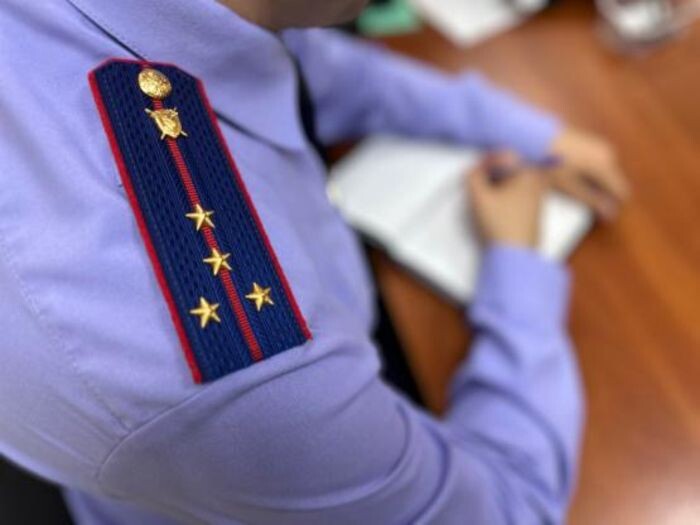 Иллюстрация: СК РФ