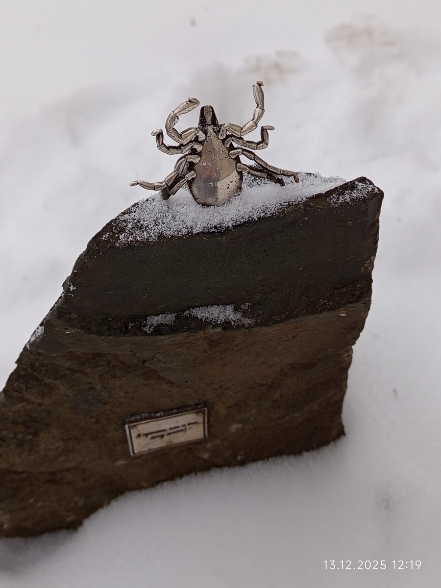 Единственный в России памятник клещу