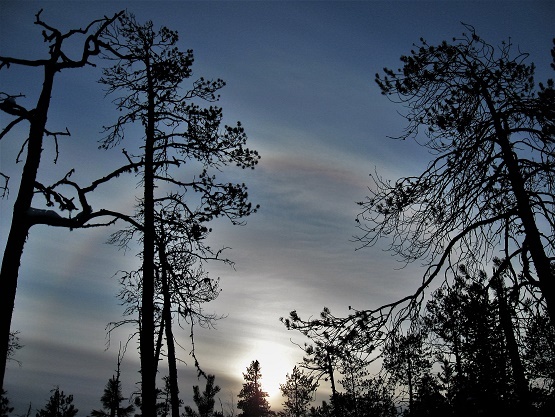 В канун 1999 года сквозь промороженную тайгу