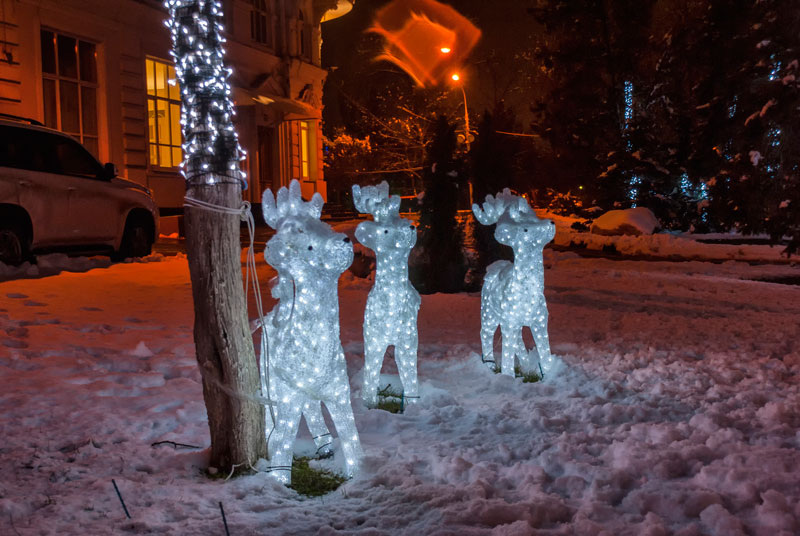И такое в Ростове бывает