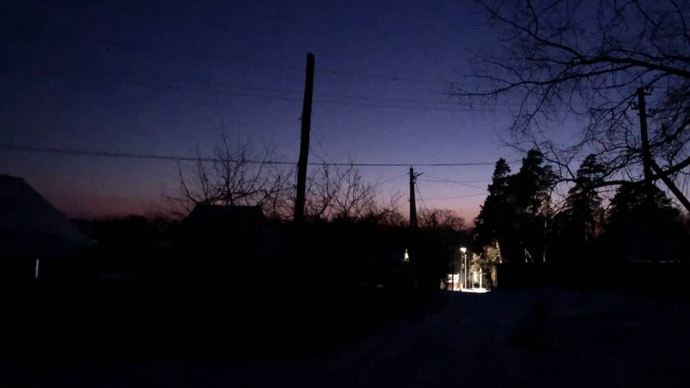    Фото: «Брянские новости»