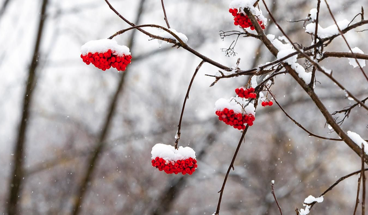    Фото: Владимир Охрименко / Mos.ru