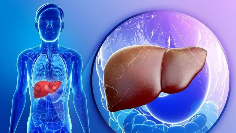 Как понять, что у вас проблемы с печенью