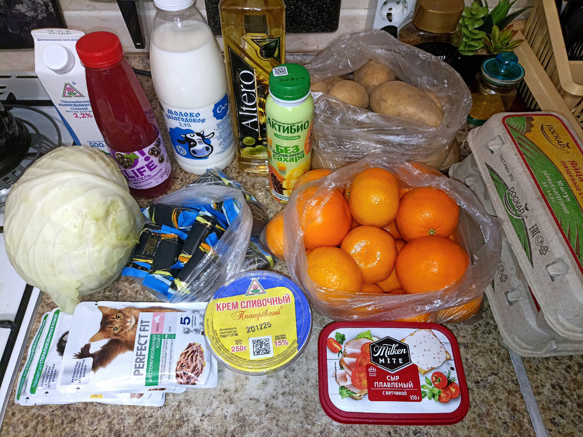 КАПУСТА, АЦИДОБИФИЛИН, КИСЕЛЬ, МОЛОКО, РАСТИТЕЛЬНОЕ МАСЛО, БИО-ЙОГУРТЫ, КАРТОШКА, ДВА ДЕСЯТКА ЯИЦ, МАНДАРИНЫ, СМЕТАННЫЙ КРЕМ, СУФЛЕ В ШОКОЛАДЕ, КОШАЧИЙ КОРМ, МЯГКИЙ СЫР.