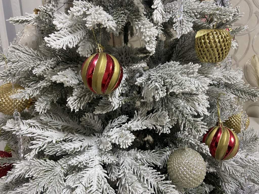    Фото: "Веселовские вести" Веселовские вести