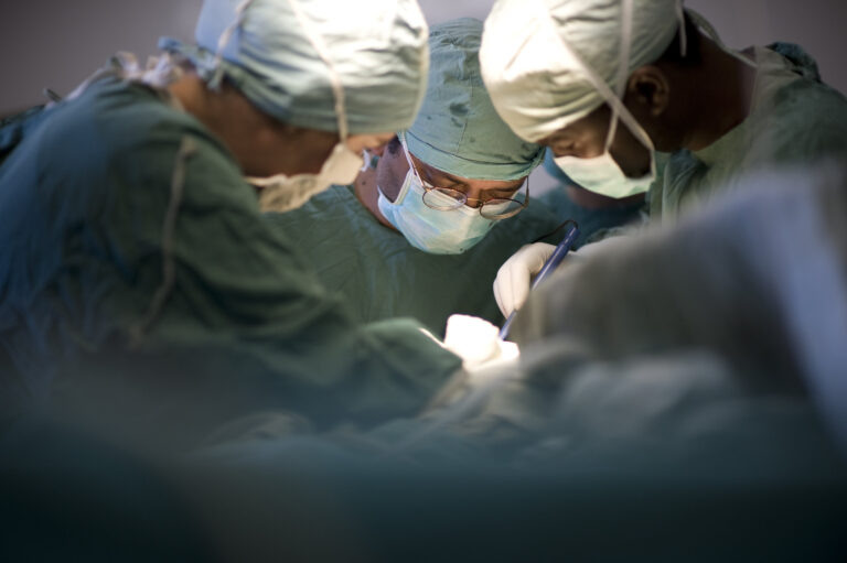    Фото: flickr.com/MADAKTARI/CC BY-NC-SA 2.0 Роман Котлов