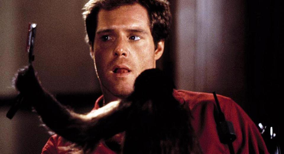 Кадр из фильма «Monkey Shines». Режиссер: Джордж А. Ромеро. Производство: Orion Pictures
