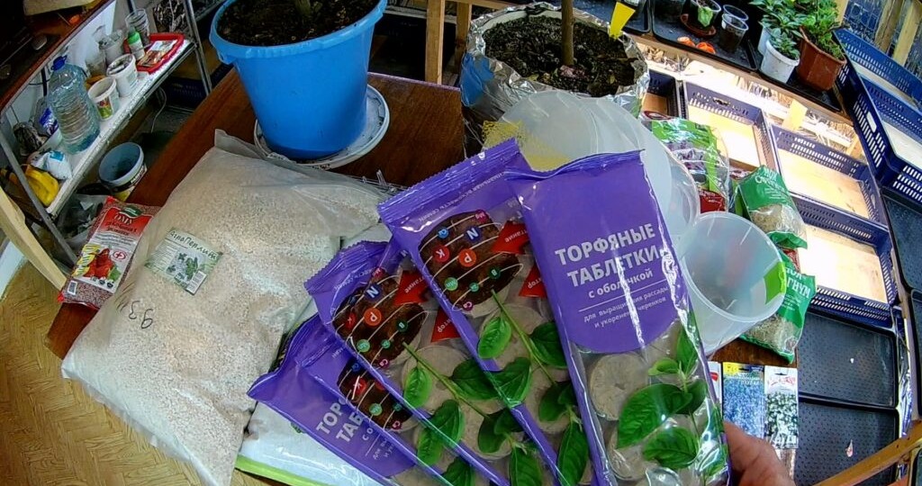 Эустома на старте: Как посадить нежные цветы в торфяные таблетки