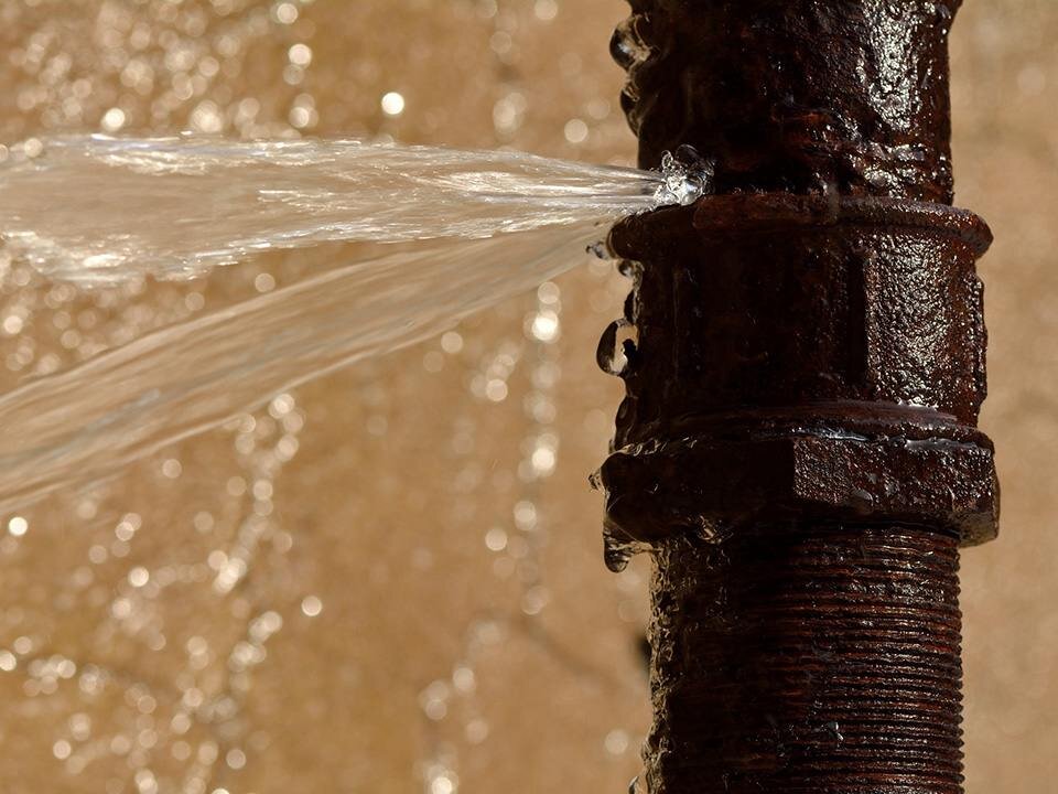    Фото: istockphoto.com/Ian_Redding