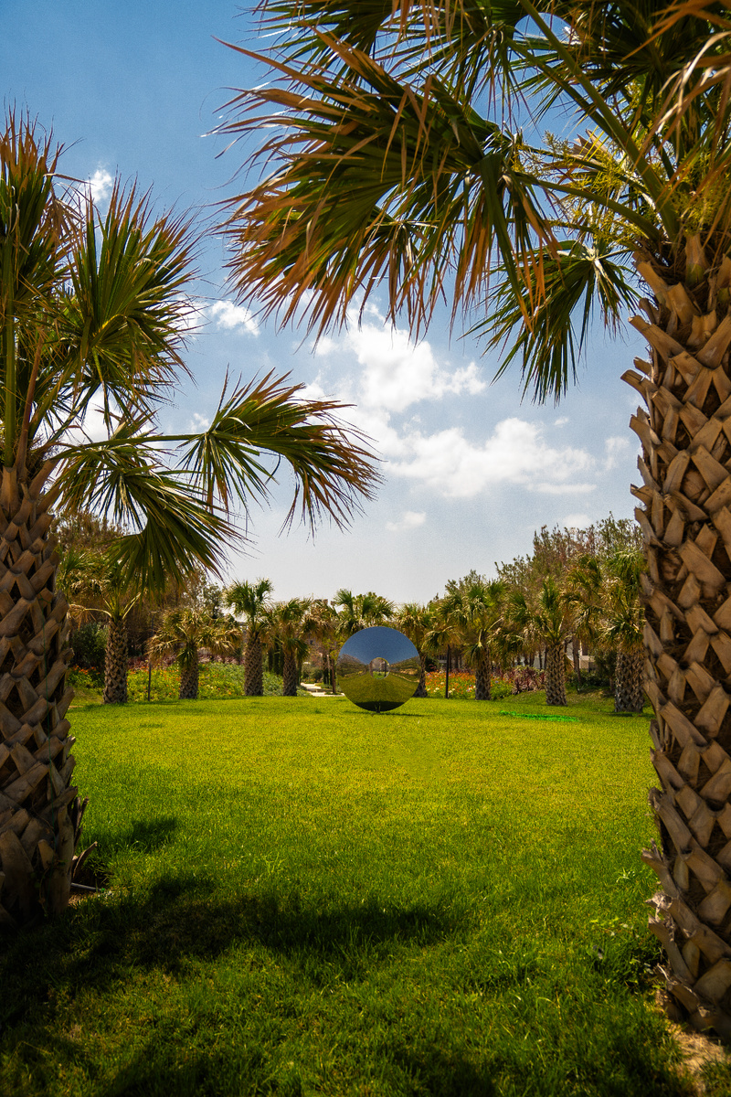 Озеленение