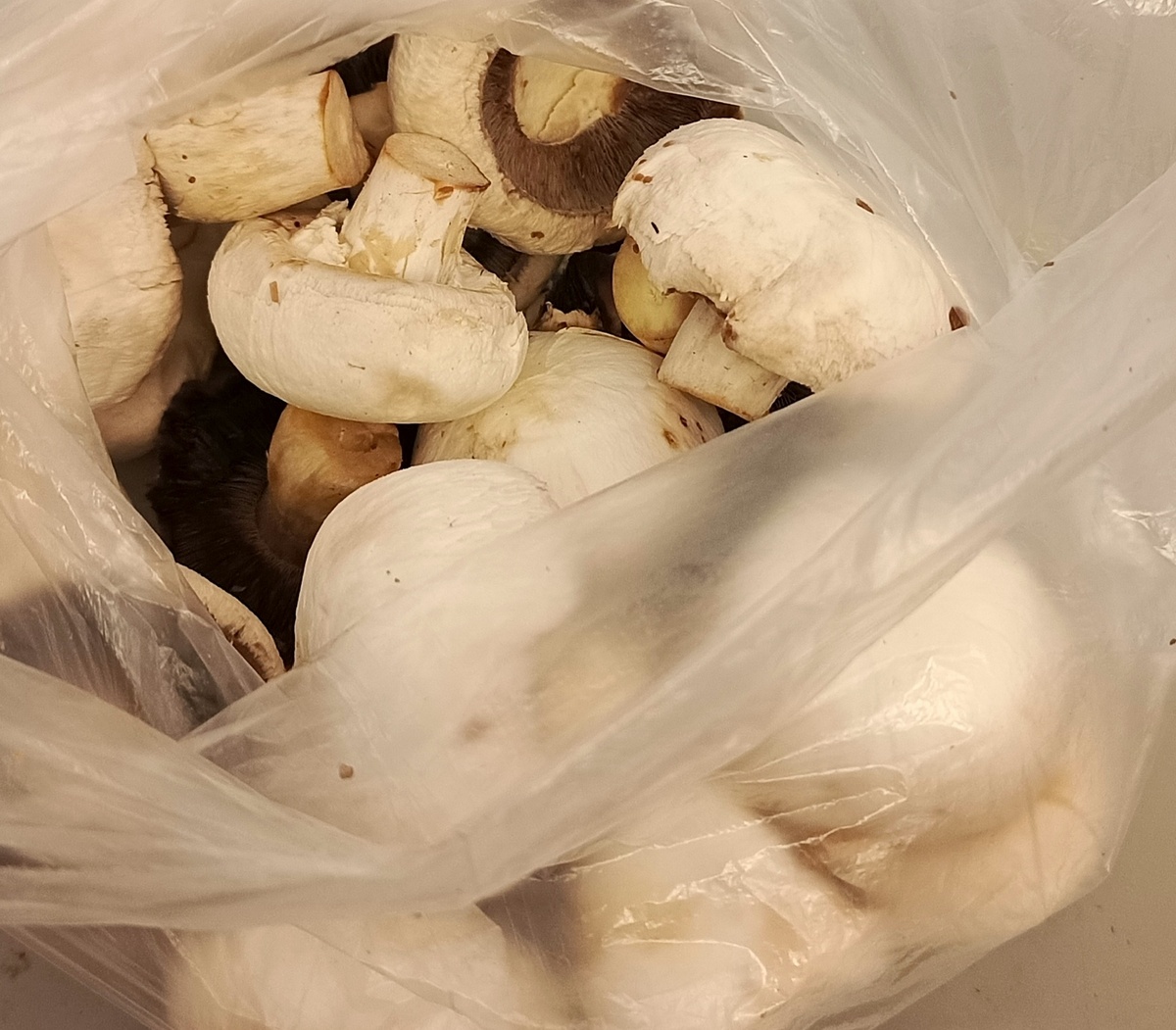 Фото автора статьи