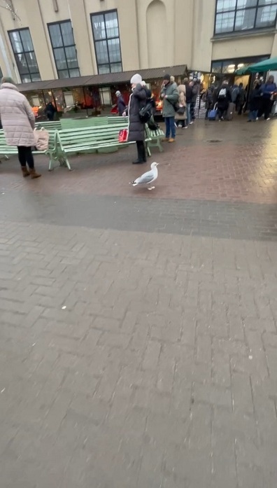 Рига, 20 декабря 2025