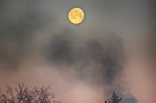    Могут ли родители не отправлять ребенка в школу в сильные морозы?