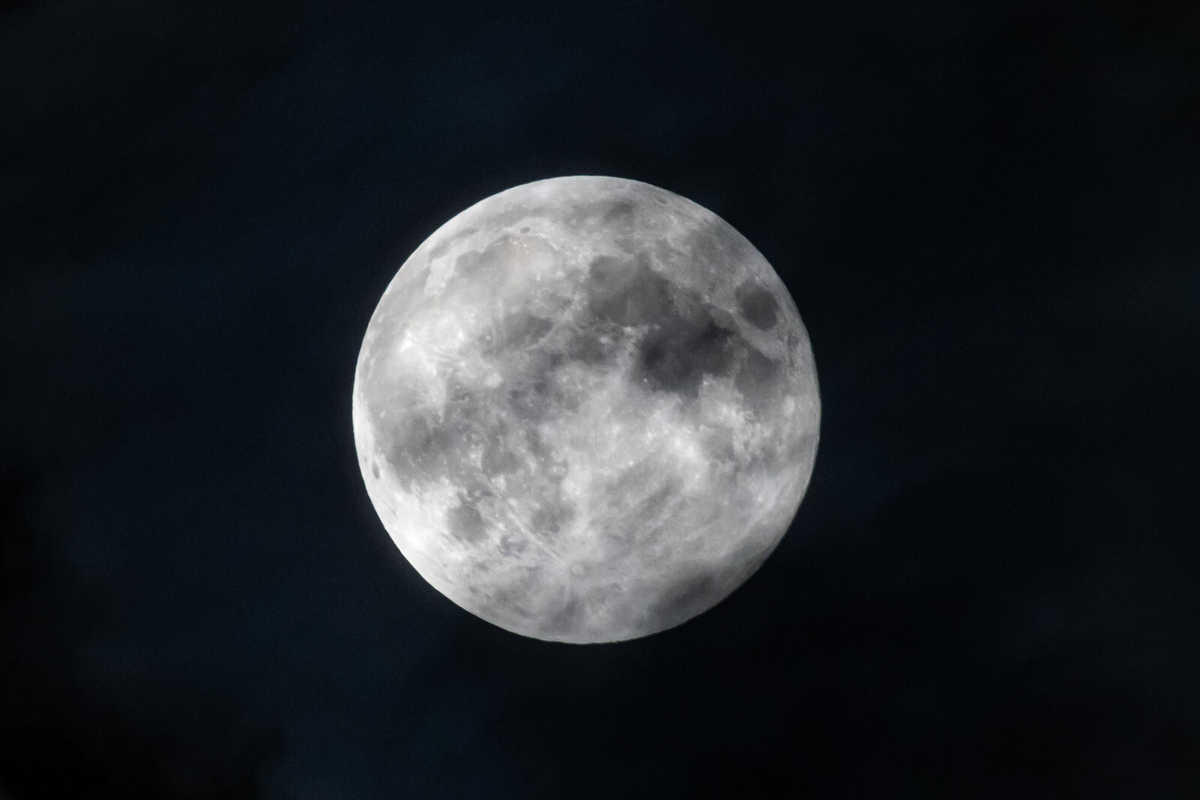 Дмитрий Фуфаев/«Петербургский дневник»