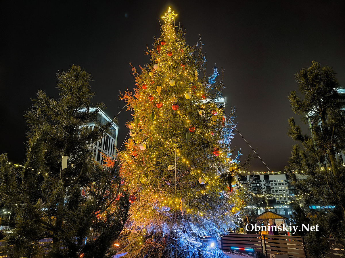 Ярмарка "Дуб и ёлка" в Обнинске