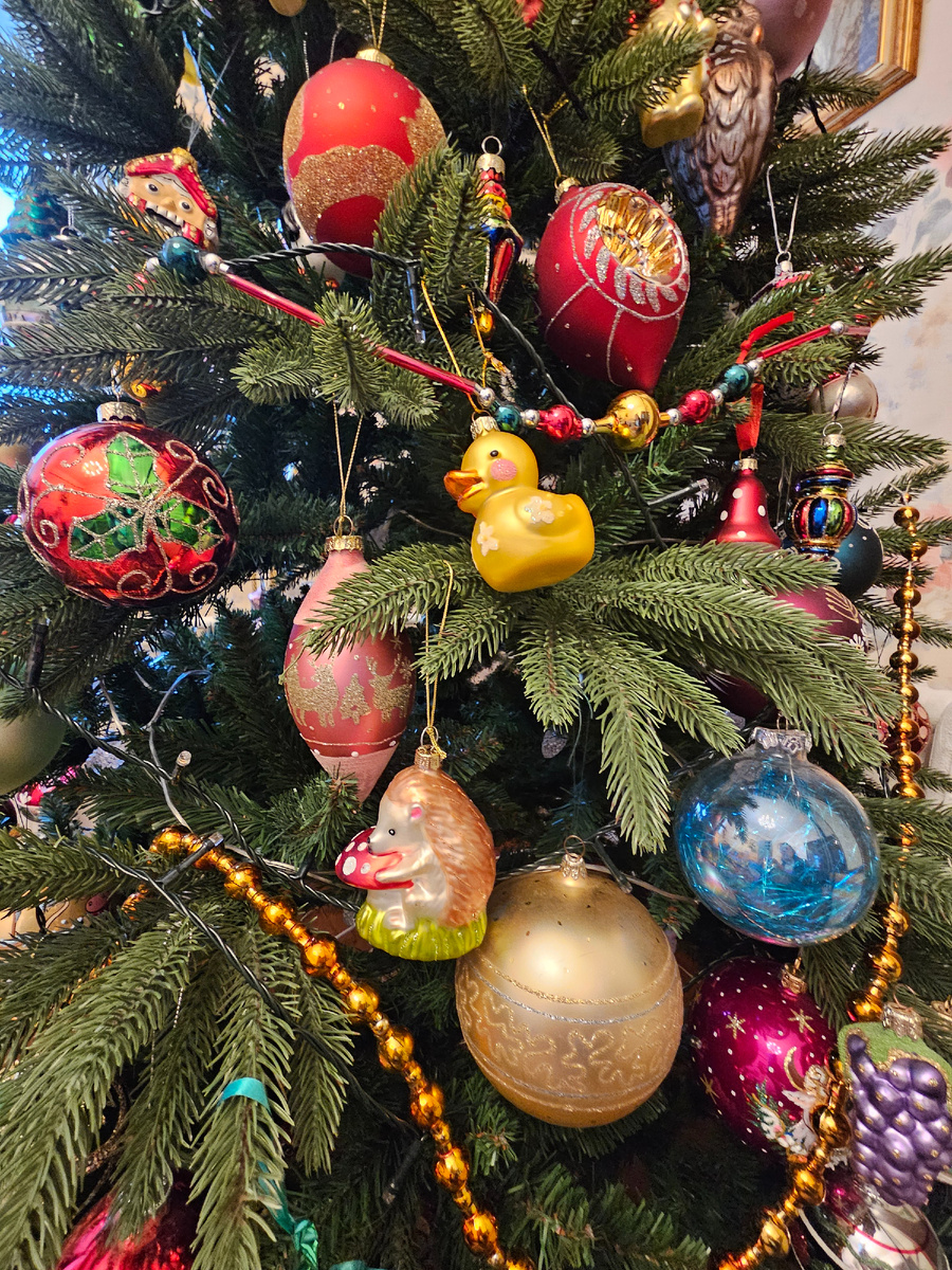 Моя ёлка (автор фото Л.Баева)