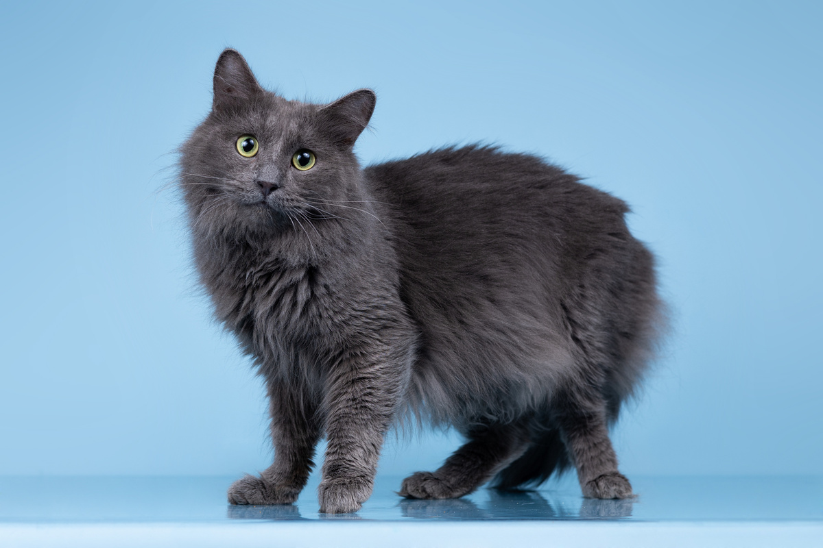 Мне понравилось позировать для фотосессии