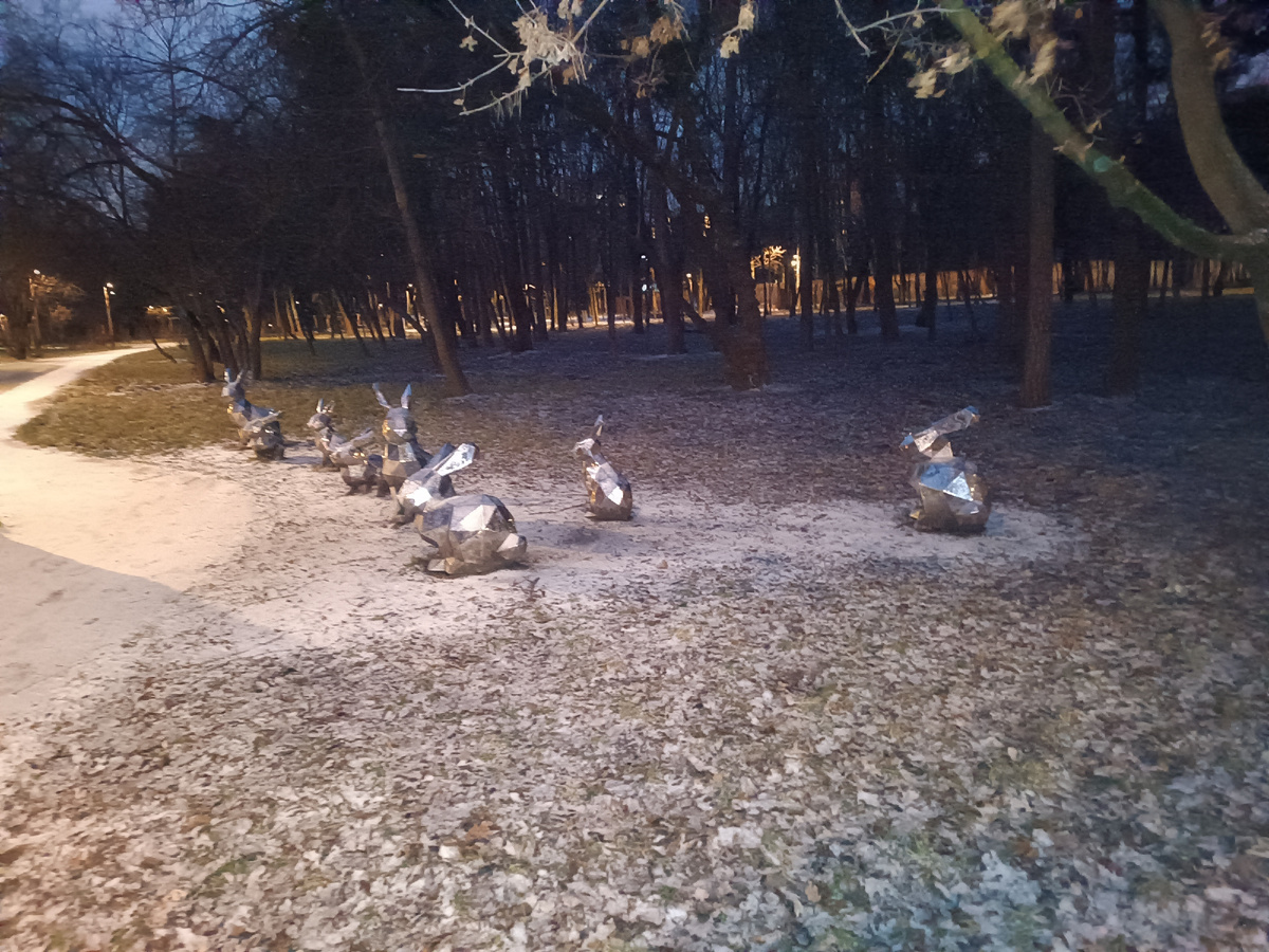 Зайцы вечером