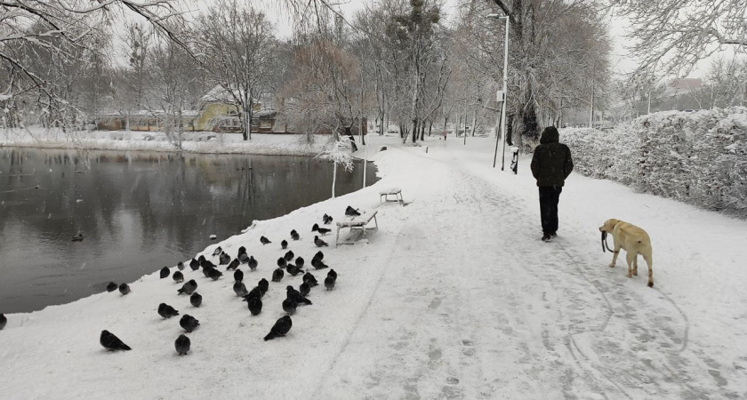    Фото progorod43.ru