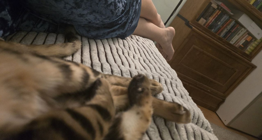    Фото Анастасии Дмитриевой