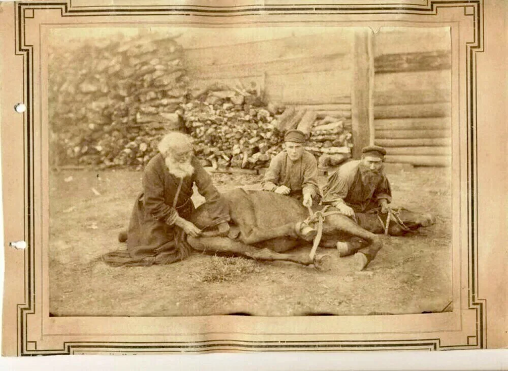 Коновалы за работой