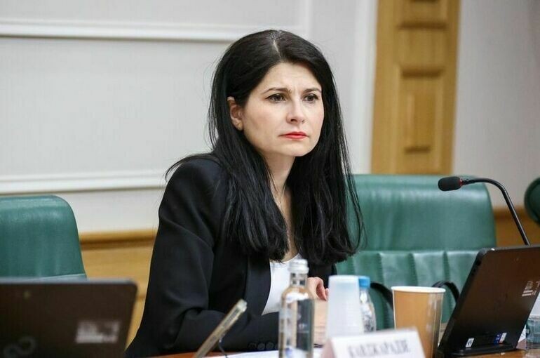   Денис Вышинский/Пресс-служба Совета Федерации