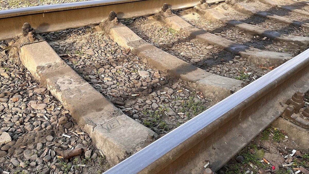    Фото: телеканал «Краснодар»