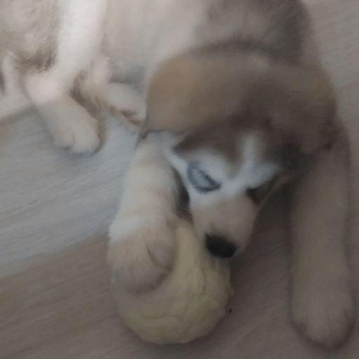 Вот так было вкусно)))