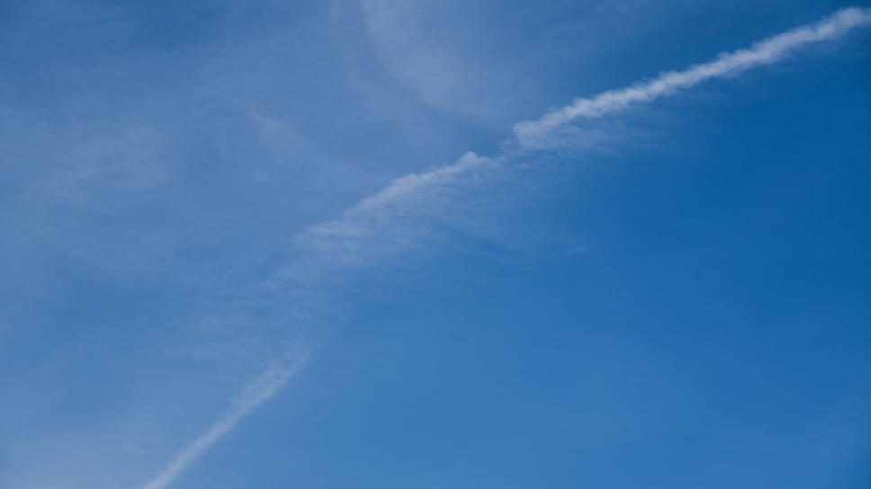 Фото: Игорь Елисеев / Коммерсантъ