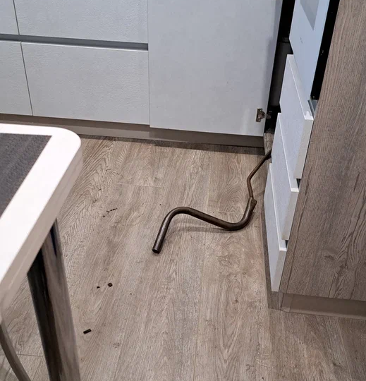 Стояк забили соседи, а отвечать пришлось мне. Подробно о вчерашнем кошмаре.