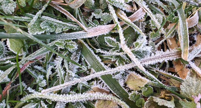    Первый городской канал Калининград