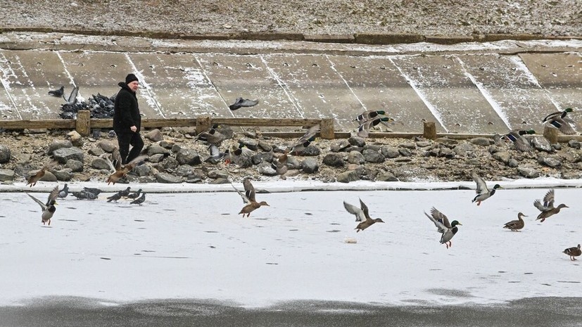   АГН «Москва»