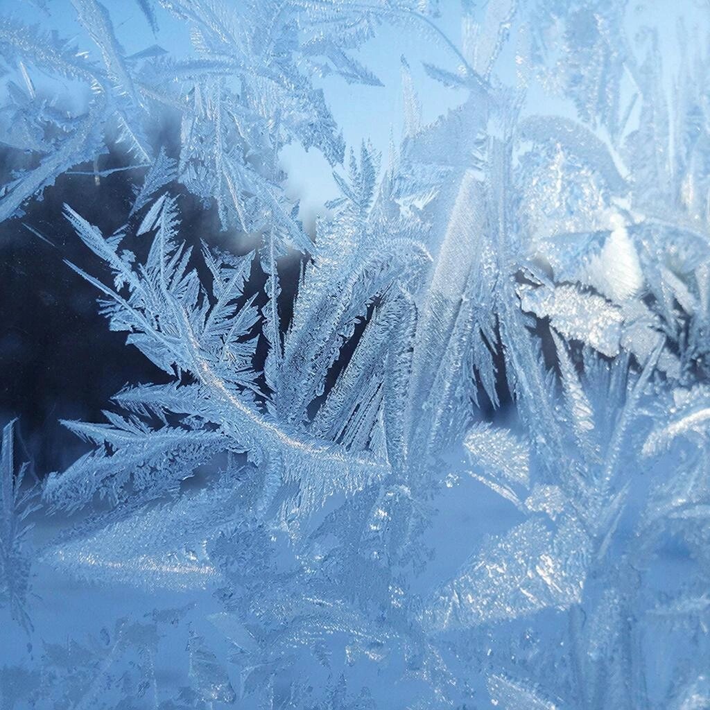    Фото: Нейросеть