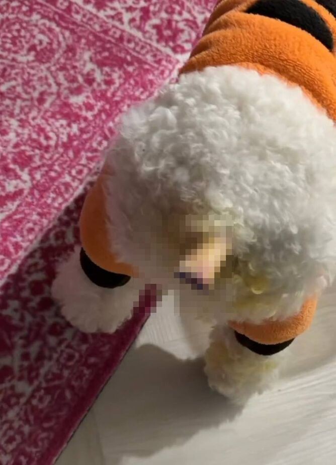     / Источник: © Кадр из видео