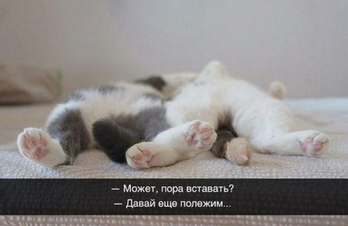 источник Яндекс-картинки