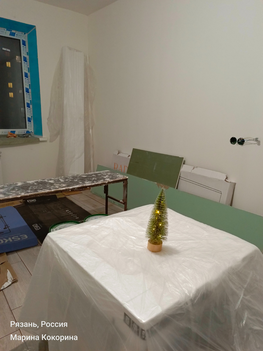 Наш первый Новый год в своей квартире в Рязани.
