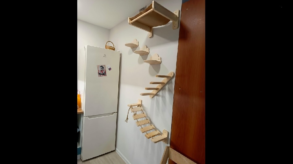 Тренажер для кошечки Пикси. На верхней полочке-лежанке от Пикси видны только уши.)))