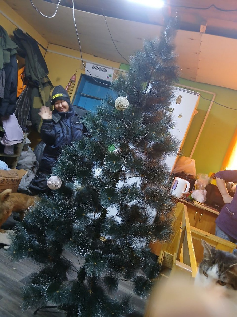 Подготовка к Новому году в приюте Ананда