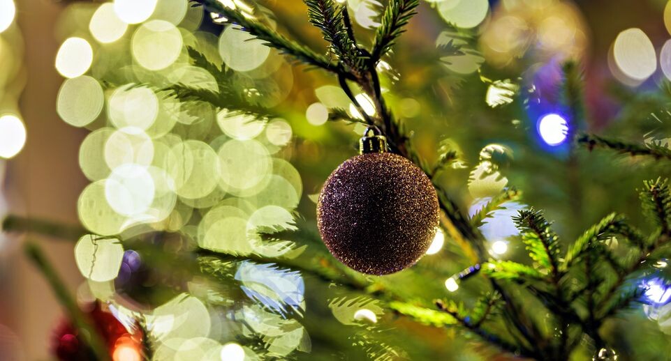    Шары на елке в новогоднем парке «Раздолье» в Одинцово / Медиасток.рф