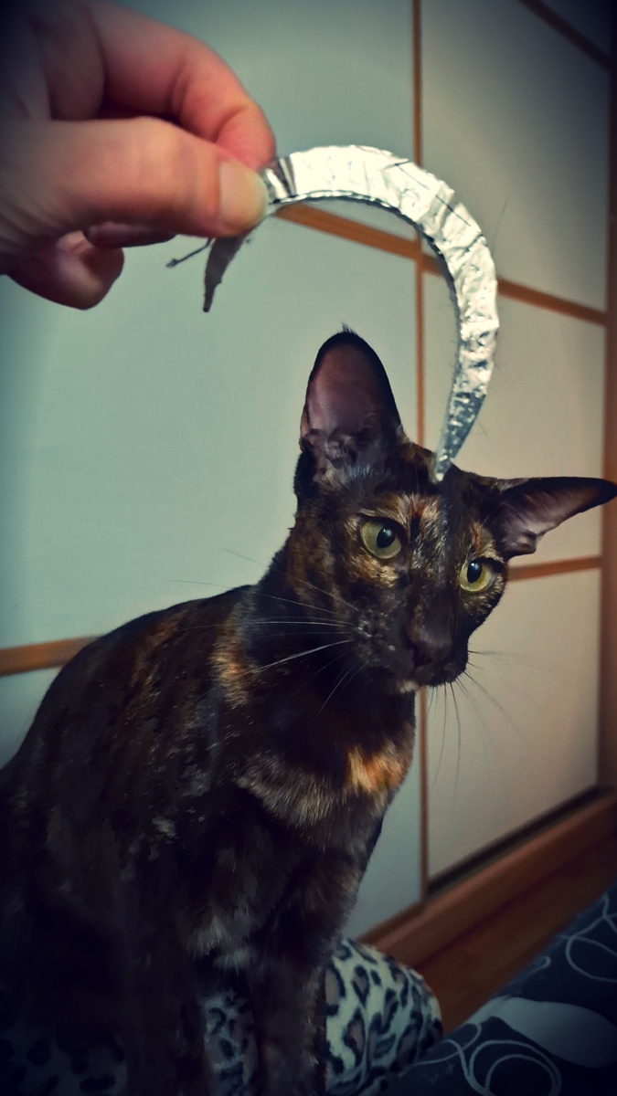 Первый раз вижу этот серп. Меня подставили.