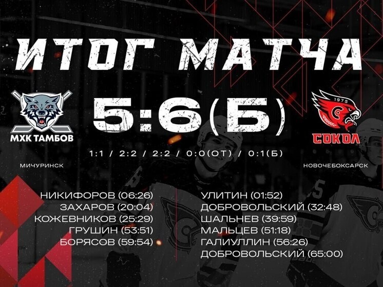     Иллюстрация: ХК "Сокол"